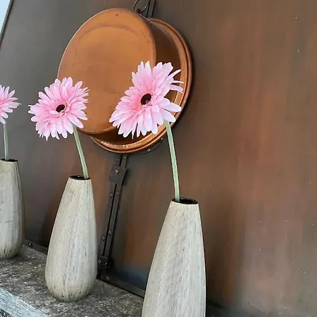 Mit Toller Seesicht Lejlighed *